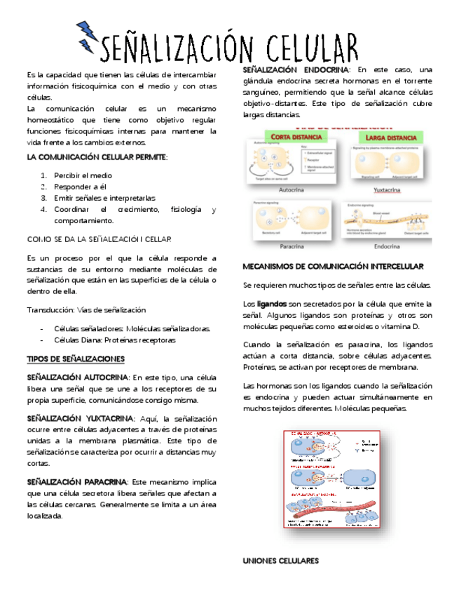 Miniatura del documento COMUNICACION-CELULAR.pdf