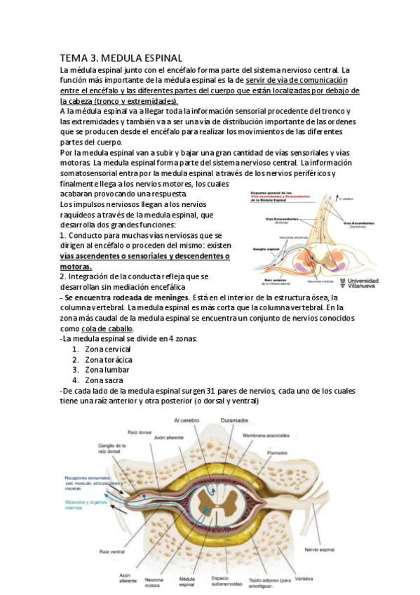 Miniatura del documento TEMA-3-psicobiologia-II.pdf