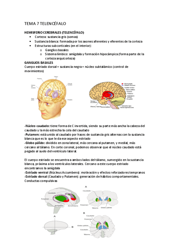 Miniatura del documento tema-7-Psicobiologia-II.pdf