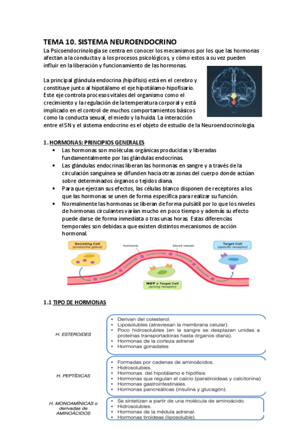 Miniatura del documento TEMA-10-psicobiologia-II.pdf