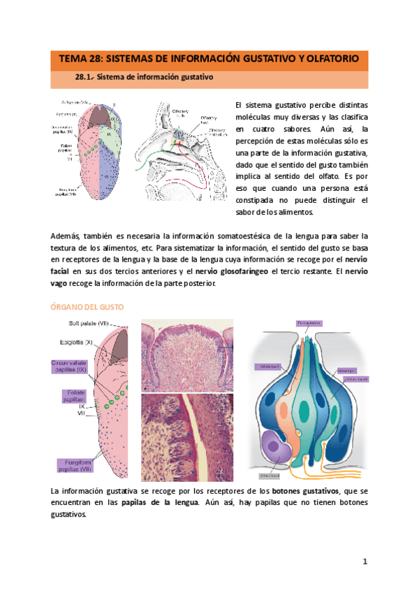 Miniatura del documento TEMA-28.pdf