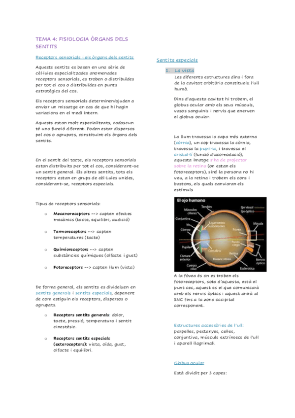 Miniatura del documento TEMA-4-FISIOLOGIA-ORGANS-DELS-SENTITS.pdf