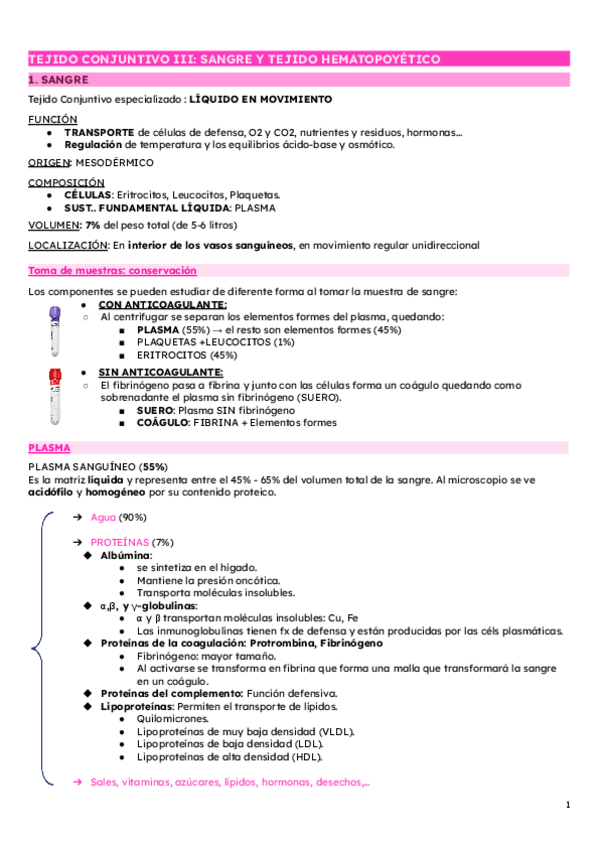 Miniatura del documento TEJIDO-CONJUNTIVO-III-SANGRE-Y-TEJIDO-HEMATOPOYETICO.pdf