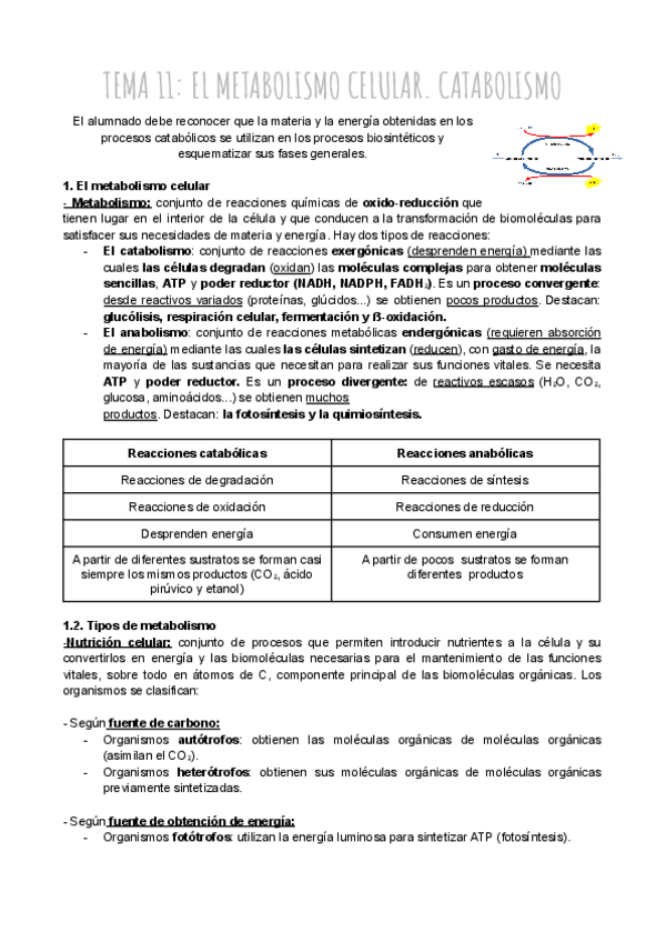 Miniatura del documento TEMA-11-EL-METABOLISMO-CELULAR.-CATABOLISMO.pdf