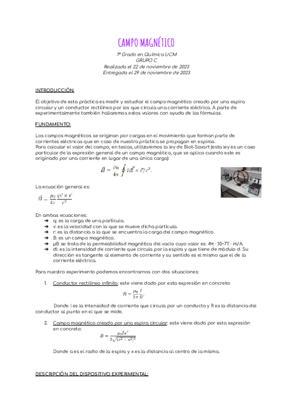 Miniatura del documento INFORME-Practica-Campo-Magnetico.pdf