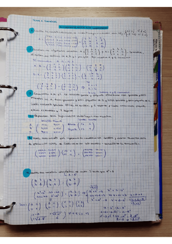 Miniatura del documento Matrices-ejercicios-con-solucion.pdf