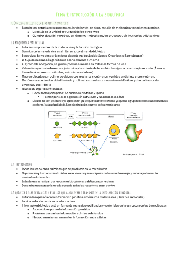 Miniatura del documento T.1-introduccion-a-la-bioquimica.pdf