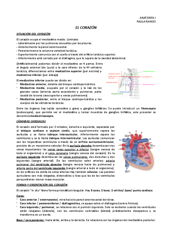 Miniatura del documento CORAZON.pdf
