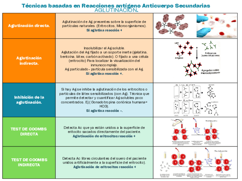 Miniatura del documento Cuadro-comparativo-tecnicas-de-inmunodiagnostico.pdf.pdf