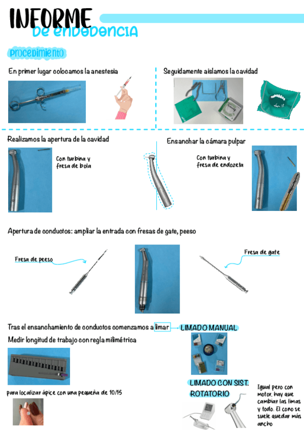 Miniatura del documento INFORME-BANDEJA-ENDODONCIA.pdf