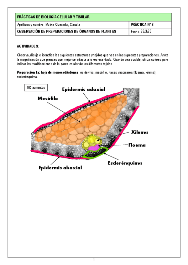 Miniatura del documento Guion-practica-2-202223.pdf