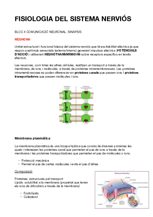 Miniatura del documento BLOC-2-fisiologia.pdf