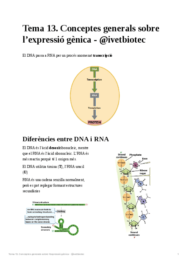 Miniatura del documento Tema-13Genetica-molecular.pdf