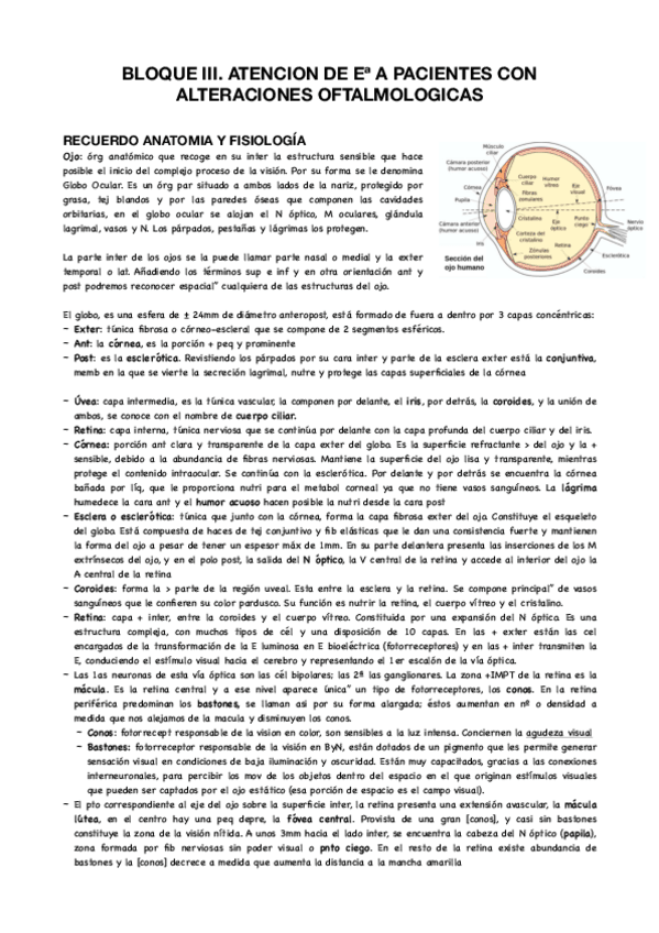 Miniatura del documento Bloque-III-clinica.pdf