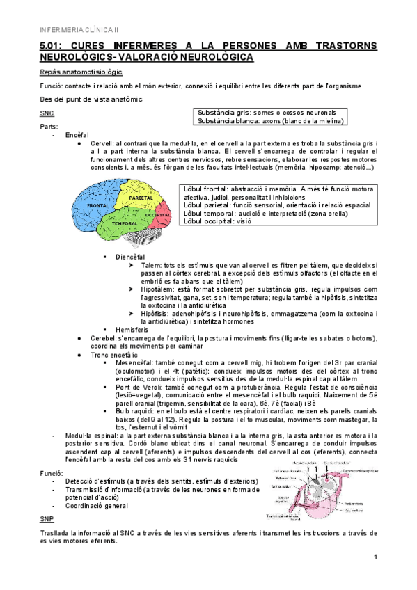 Miniatura del documento 5.01-Trastorns-neuro-valoracio.pdf