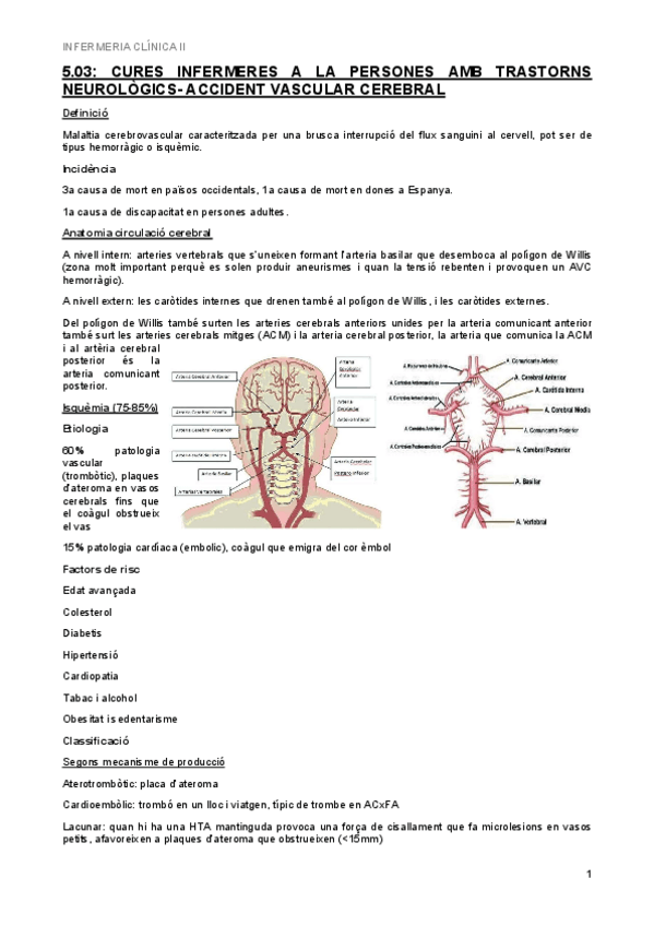Miniatura del documento 5.03-Trastorns-neuro-AVC.pdf