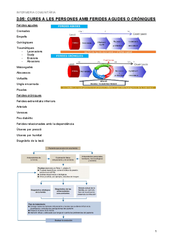 Miniatura del documento 3.05-Cura-de-les-persones-amb-ferides-croniques-o-agudes.pdf