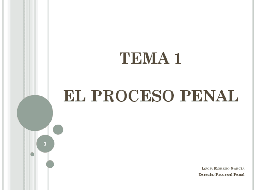 Miniatura del documento TEMA-1-PPT-explicado.pdf