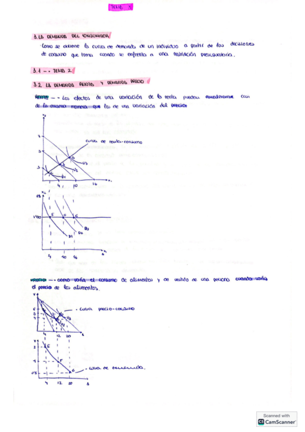 Miniatura del documento Tema-3-microeconomia-I.pdf