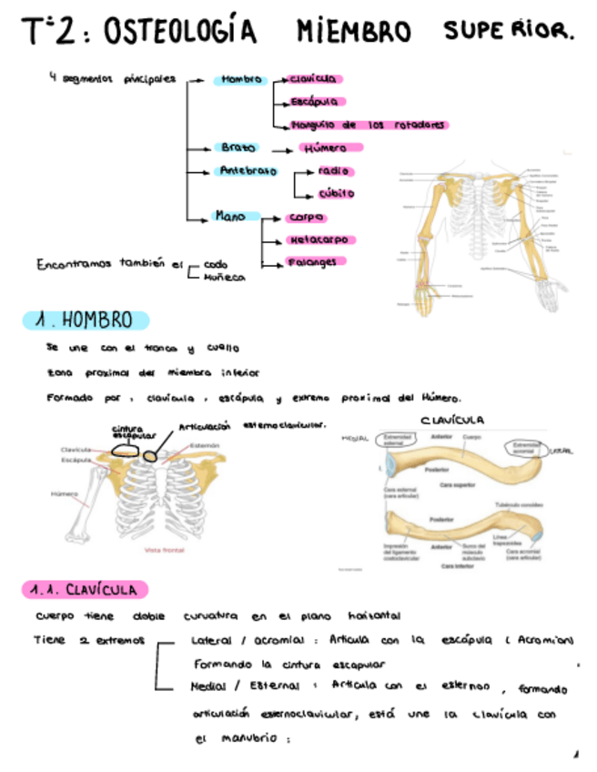 Miniatura del documento Tema2.pdf