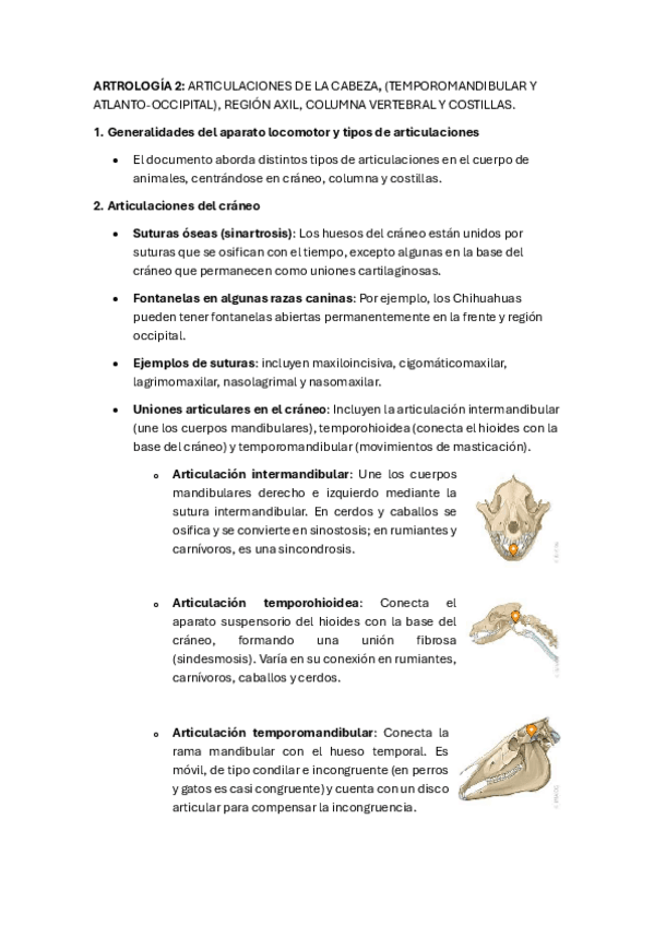 Miniatura del documento ARTROLOGIA-2-articulaciones-de-la-cabeza-costillas-etc.pdf