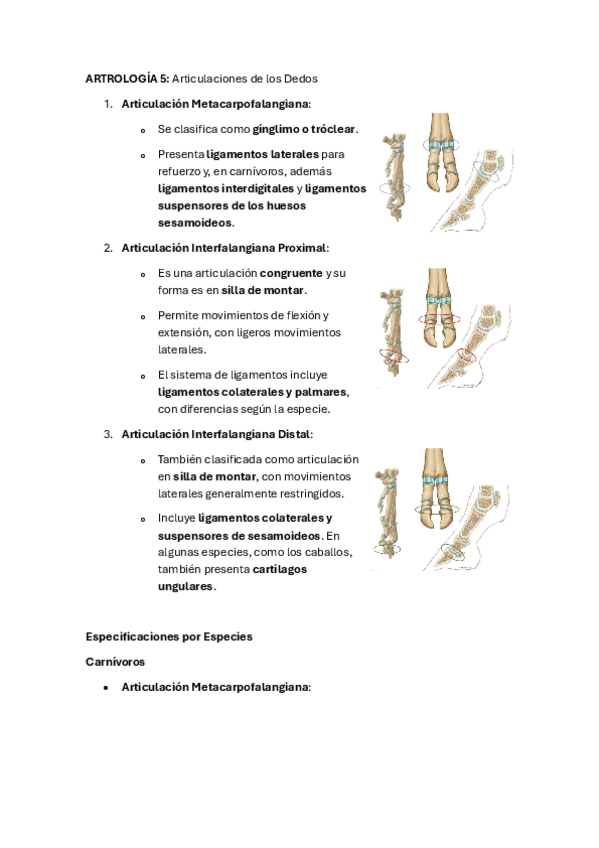 Miniatura del documento ARTROLOGIA-5-dedos.pdf