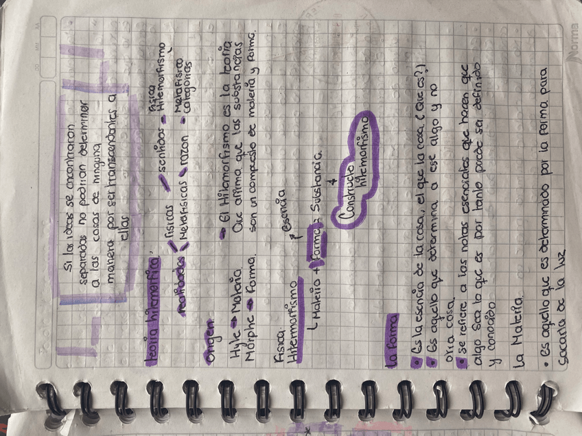 Miniatura del documento Filosofia.jpeg