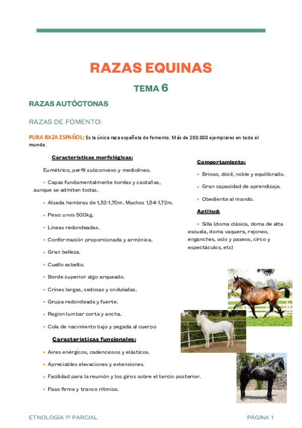Miniatura del documento Razas-equidos.pdf