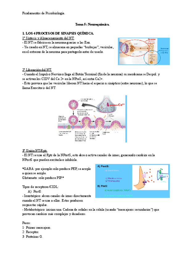 Miniatura del documento T5-Neuroquimica.pdf