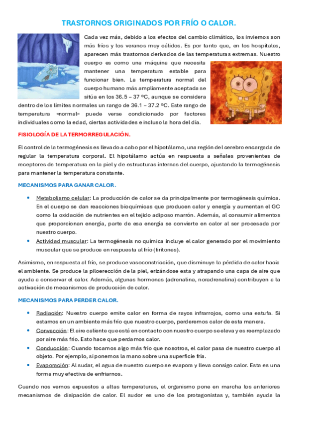 Miniatura del documento ApuntesEMQ4frioycalor.pdf