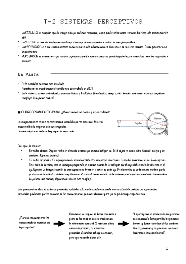 Miniatura del documento T-2-Sistemas-perceptivos.pdf