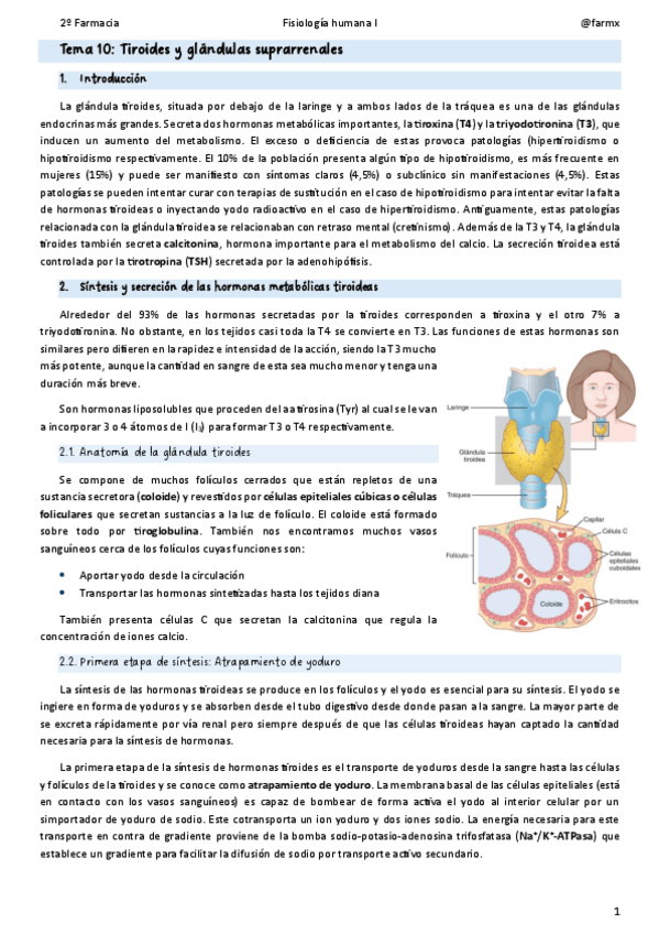Miniatura del documento Tema-10.pdf