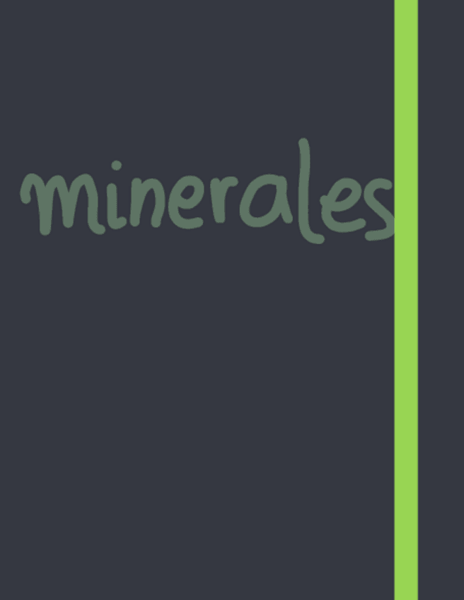 Miniatura del documento Minerales.pdf