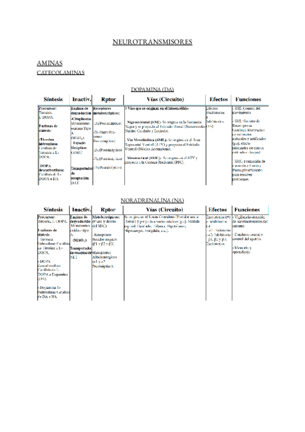 Miniatura del documento FAMILIA-DE-NT.pdf