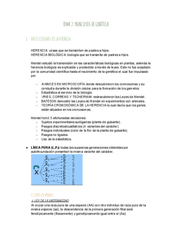 Miniatura del documento TEMA-2-PRINCIPIOS-DE-GENETICA.pdf
