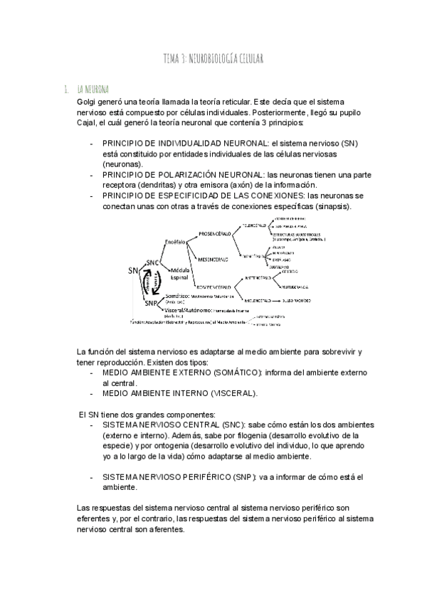 Miniatura del documento TEMA-3-NEUROBIOLOGIA-CELULAR.pdf