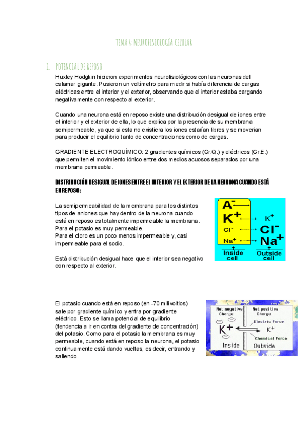 Miniatura del documento TEMA-4-NEUROFISIOLOGIA-CELULAR.pdf