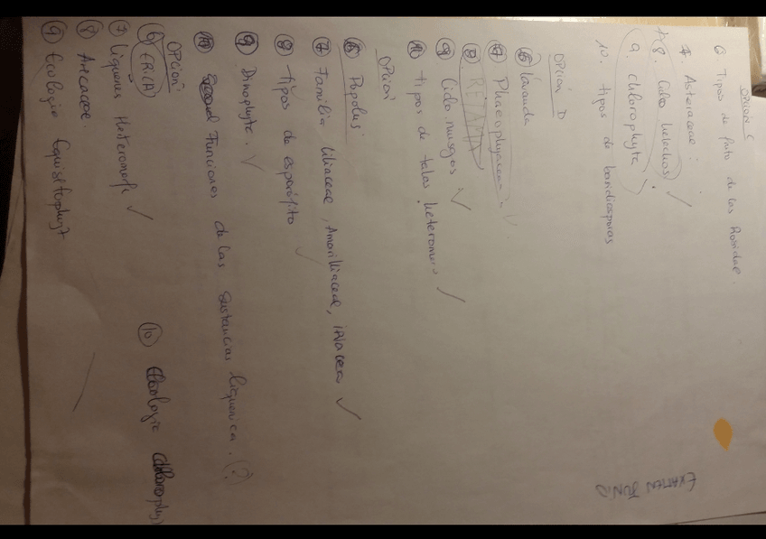 Miniatura del documento Screenshot_2018-11-17-00-37-14-1.png