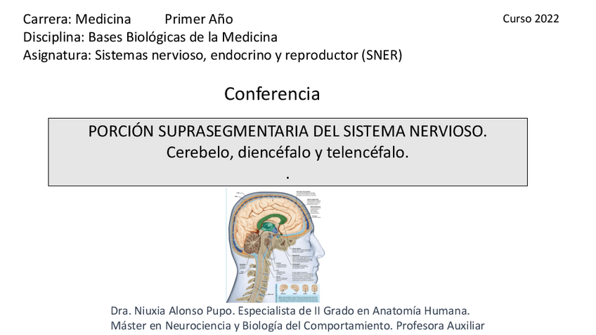 Miniatura del documento 6.Conferencia-suprasegmentario-2022-1.pdf