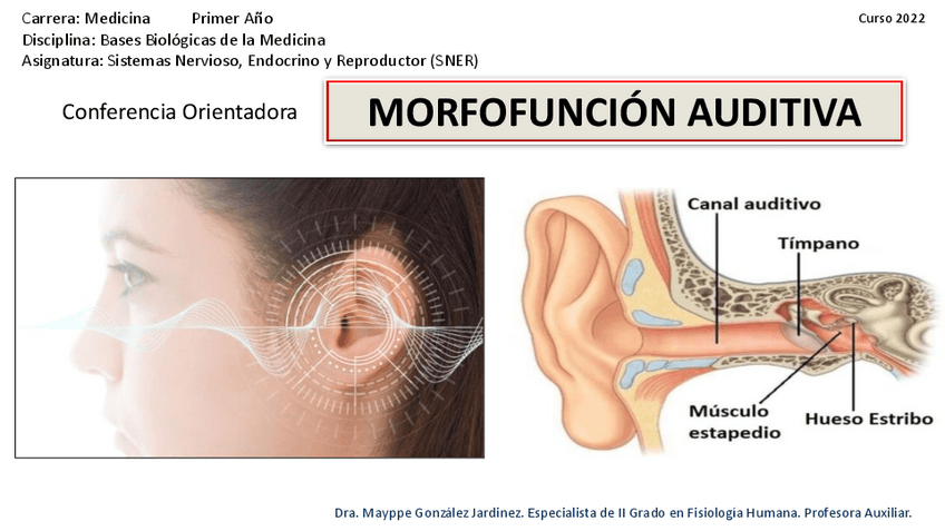 Miniatura del documento 12.Morfofuncion-Auditiva-1.pdf