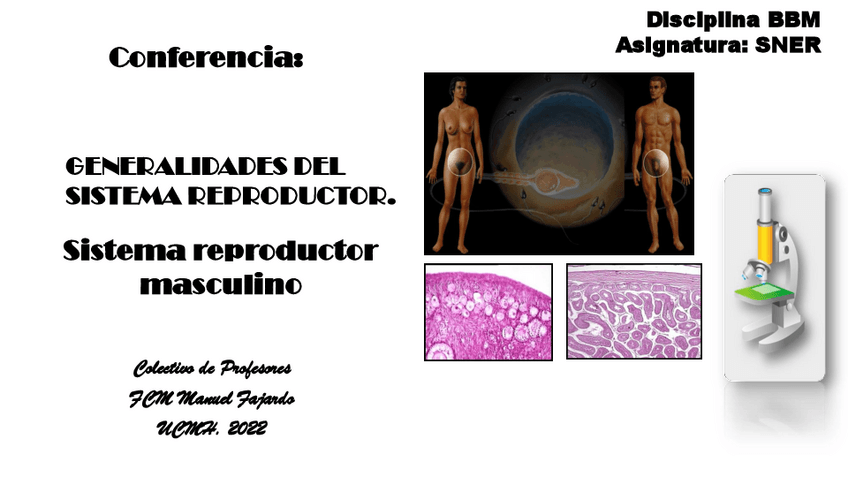 Miniatura del documento 19.Conferencia-Sistema-Reproductor-Masculino-1.pdf