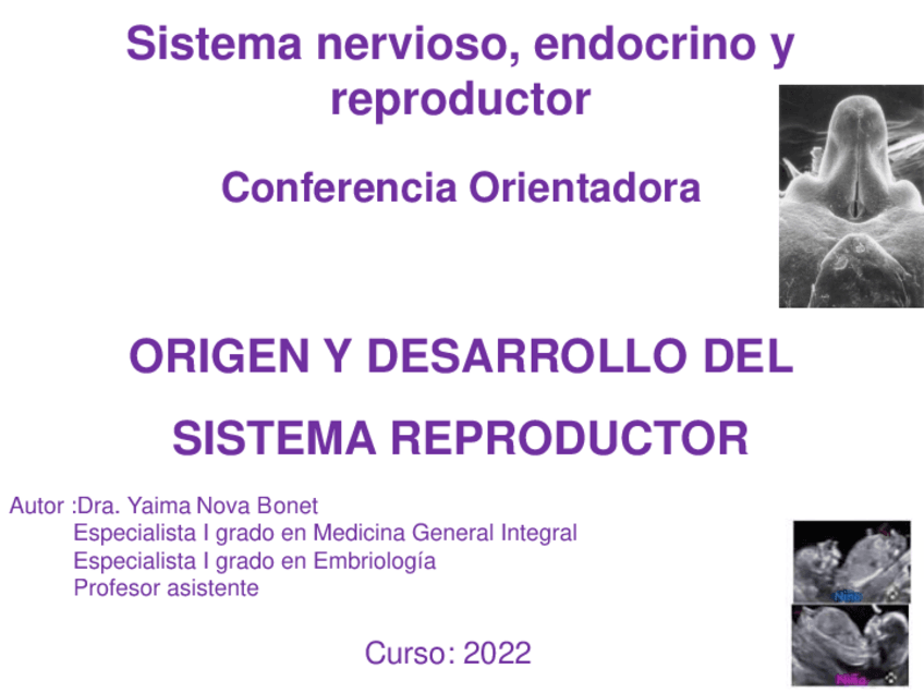 Miniatura del documento 21.Conferencia-reproductor-esta-2022-1.pdf