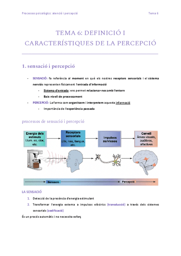 Miniatura del documento TEMA-6-DEFINICIO-I-CARACTERISTIQUES-DE-LA-PERCEPCIO.pdf