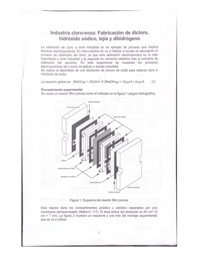 Miniatura del documento Informe-Cloro-sosa.pdf