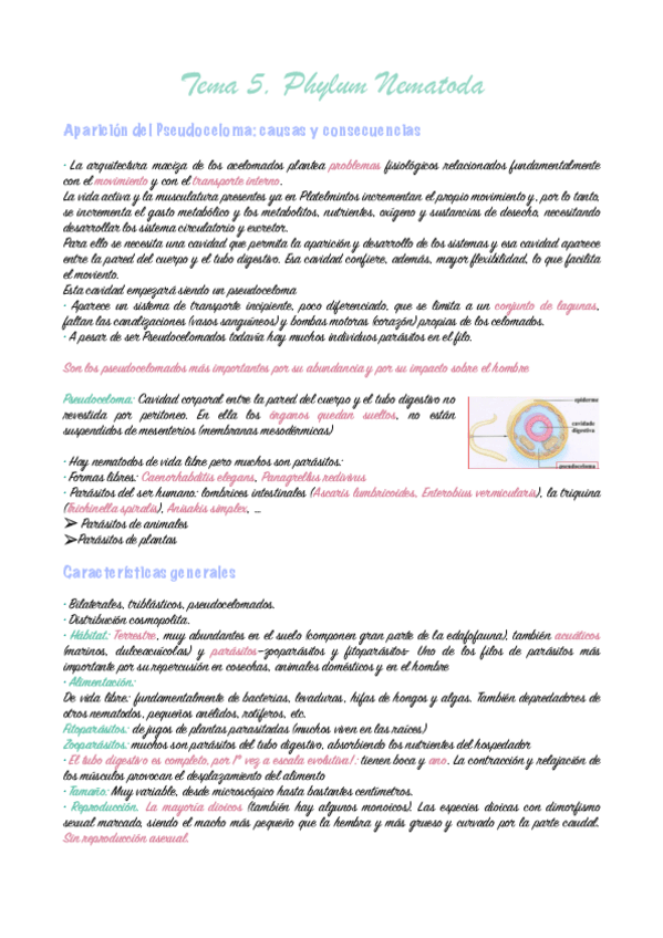 Miniatura del documento tema-5-zoologia.pdf