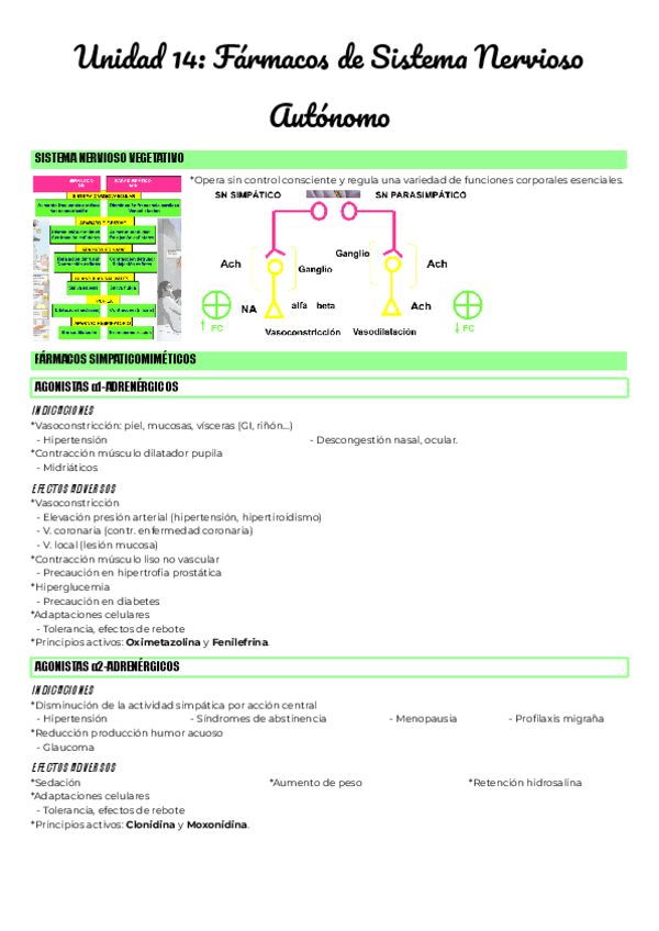 Miniatura del documento Unidad-14-Farmacos-de-Sistema-Nervioso-Autonomo.pdf