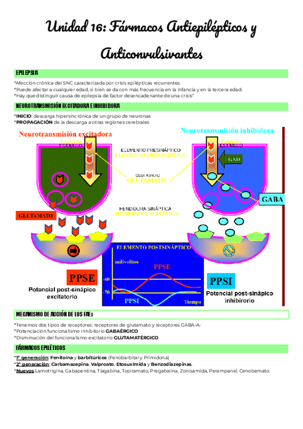 Miniatura del documento Unidad-16-Farmacos-Antiepilepticos-y-Anticonvulsivantes.pdf