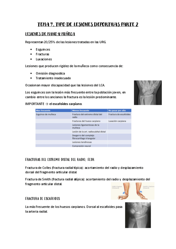 Miniatura del documento Tema-7-D.pdf