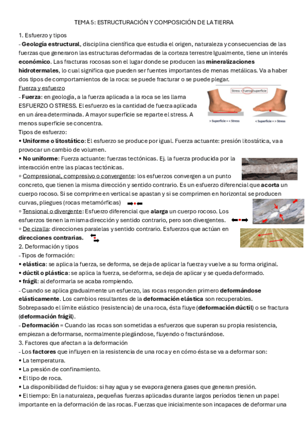 Miniatura del documento GEOLOGIATema-5.pdf