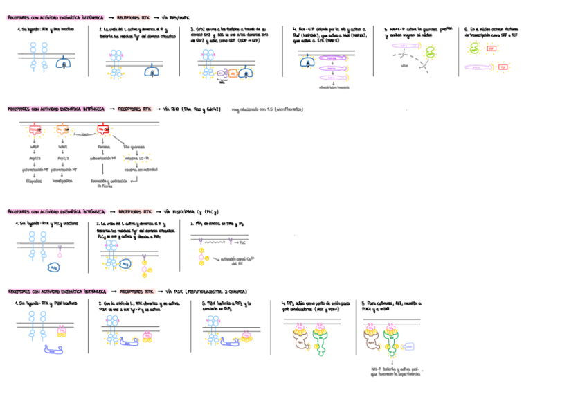 Miniatura del documento tema-4-rutas-de-senalizacion-esquemas.pdf